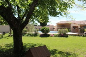 arbre et jardin vert