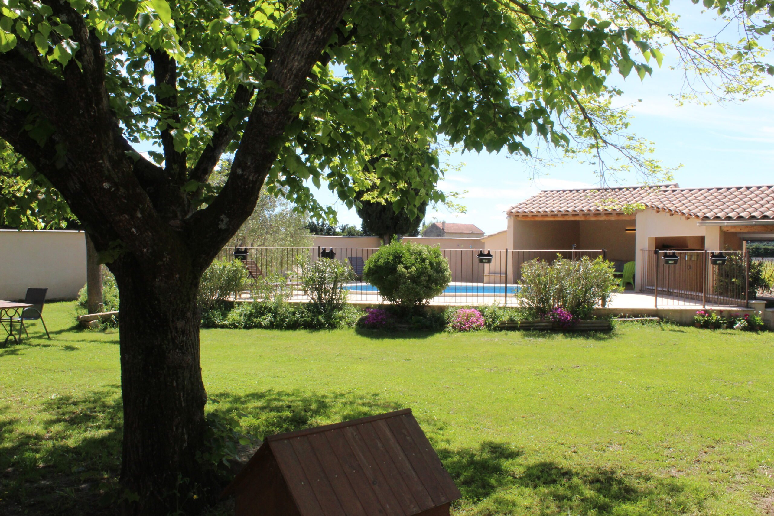 arbre et jardin vert