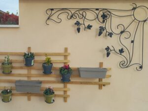 décoration et fleurs façade extérieur