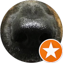 Neil Samson profile picture